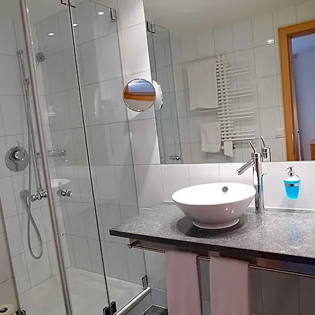 Ξενοδοχείο Alpina Parpan 3*